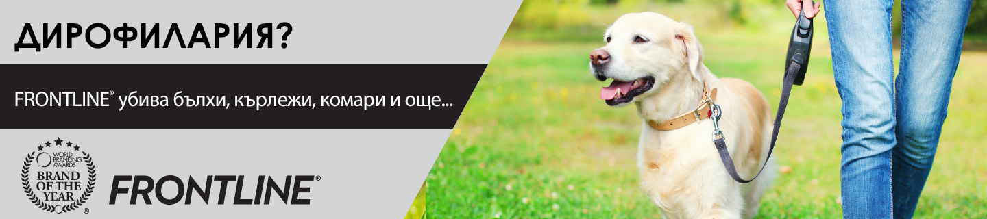 дирофилария