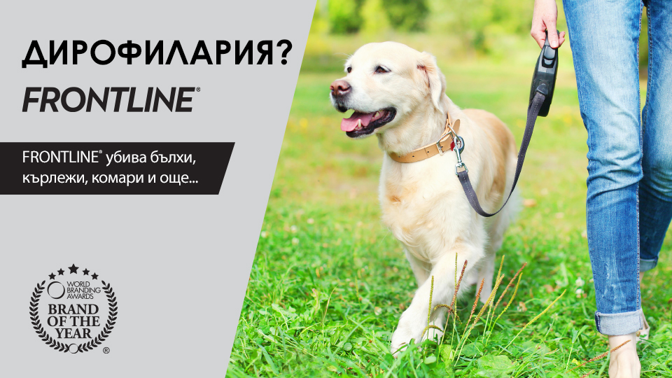 дирофилария