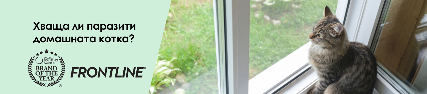 обезпаразитяване котка